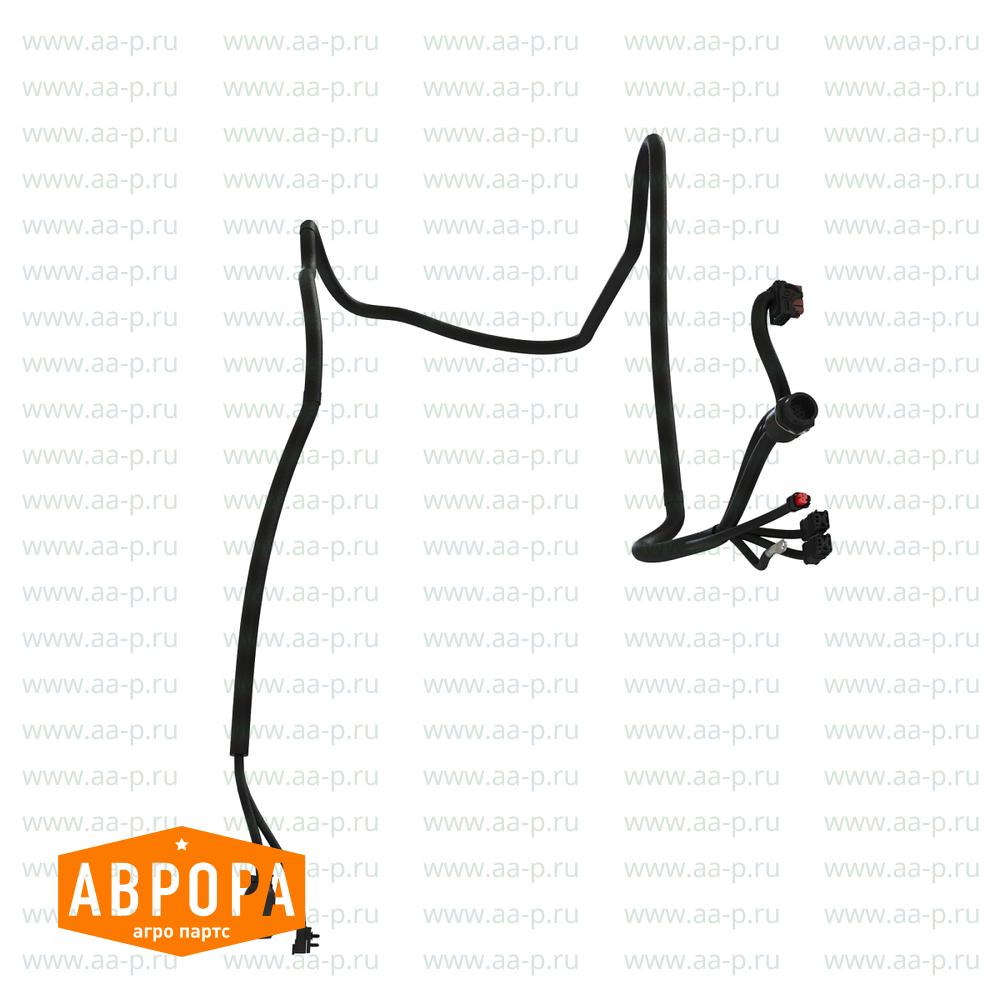 Arm